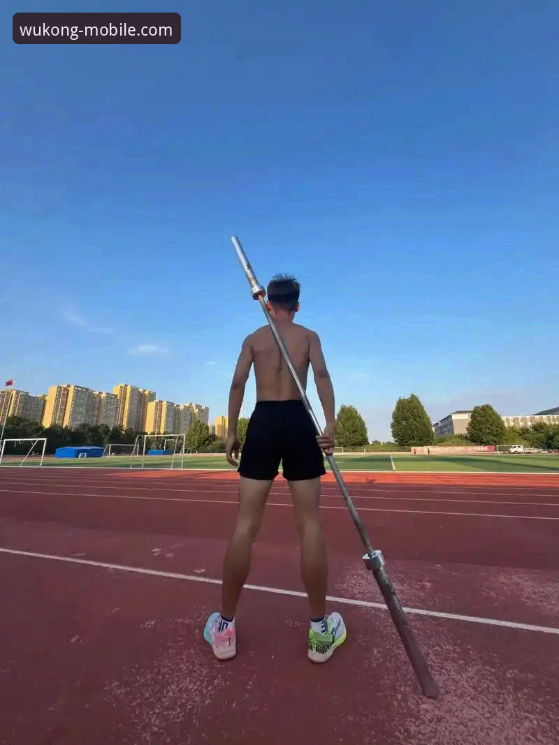 悟空体育专业数据深度解析：从新手到高手的完整使用指南