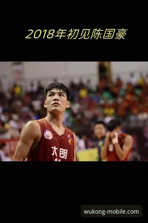 资深球迷在悟空体育平台观赛心得：陈国豪回避条款升级，卡位战遗憾缺席